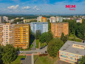 Prodej bytu 1+1, Ostrava - Výškovice, Srbská, 39 m2