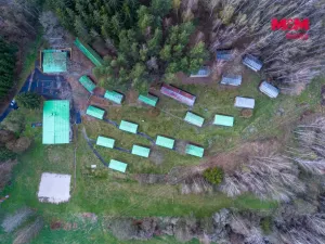 Prodej komerční nemovitosti, Bezdružice - Křivce, 1300 m2