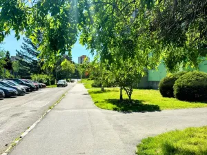 Pronájem bytu 3+1, Ostrava - Zábřeh, Písečná, 64 m2