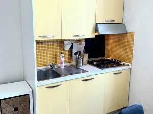 Pronájem bytu 2+kk, Praha - Žižkov, Bořivojova, 56 m2