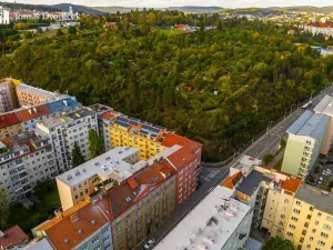 Prodej bytu 2+kk, Brno, Úvoz, 61 m2