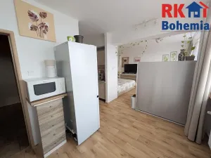 Pronájem bytu 1+1, Mladá Boleslav, Jičínská, 39 m2