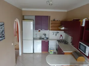 Pronájem bytu 1+1, Brno, Slatinská, 48 m2