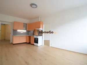 Pronájem bytu 2+kk, Praha - Nusle, Žateckých, 48 m2