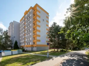 Prodej bytu 3+1, České Budějovice - České Budějovice 2, Netolická, 67 m2