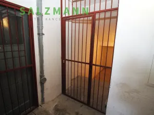Prodej skladu, Plzeň, Francouzská třída, 39 m2
