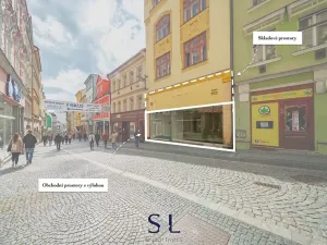 Pronájem obchodního prostoru, Liberec, Pražská, 339 m2