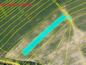 Prodej pole, Suchov, 5351 m2