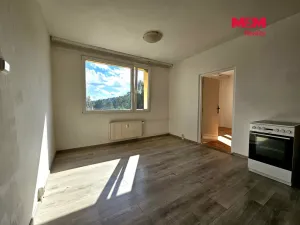 Pronájem bytu 1+1, Hodkovice nad Mohelkou, Podlesí, 36 m2
