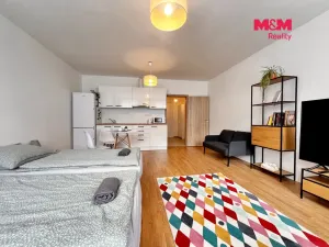 Prodej bytu 1+kk, Svitavy - Předměstí, Říční, 36 m2