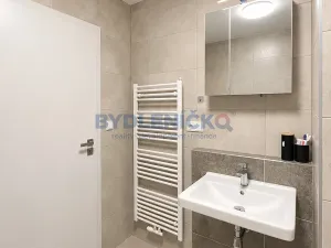 Prodej bytu 1+kk, České Budějovice, Nová, 38 m2