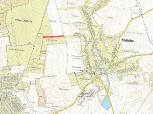 Prodej sadu/vinice, Kostelec, 3982 m2