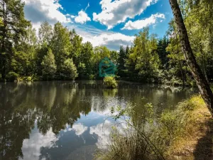 Prodej pozemku, Benešov nad Černou - Klení, 6805 m2
