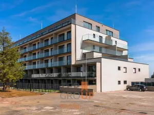 Prodej bytu 1+kk, Mladá Boleslav, 74 m2