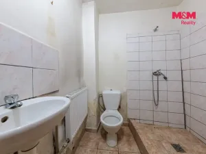 Prodej rodinného domu, Horní Slavkov, Nové Město, 164 m2