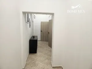 Prodej bytu 4+1, Teplice, U Hadích lázní, 105 m2