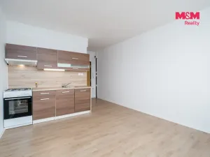 Prodej bytu 1+1, Ústí nad Labem, Kmochova, 33 m2