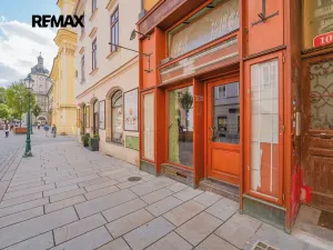 Pronájem restaurace, Plzeň, Bedřicha Smetany, 312 m2