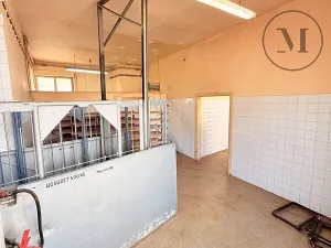 Pronájem výrobních prostor, Netolice, Mírové Náměstí, 500 m2