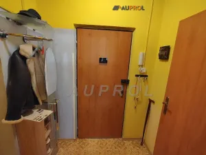 Prodej bytu 2+1, Praha - Braník, Nad lesním divadlem, 62 m2