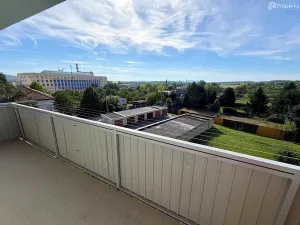 Pronájem bytu 3+1, Hrušovany u Brna, Žižkova, 69 m2
