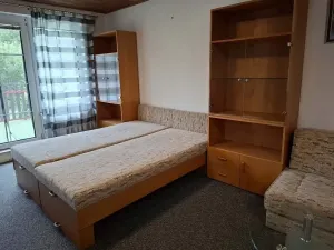 Pronájem bytu 1+kk, Brno, Viniční, 29 m2