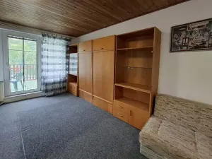 Pronájem bytu 1+kk, Brno, Viniční, 29 m2