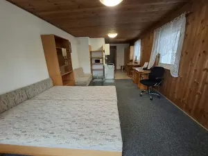 Pronájem bytu 1+kk, Brno, Viniční, 29 m2