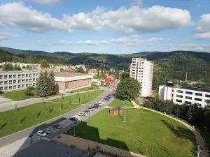 Prodej bytu 1+kk, Tanvald, Horská, 27 m2