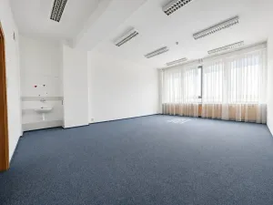 Pronájem obchodního prostoru, Brno, Šujanovo náměstí, 95 m2