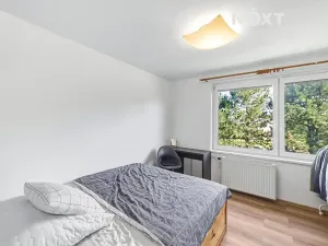 Prodej bytu 3+1, Nové Město, 70 m2