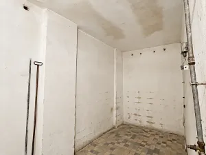 Prodej obchodního prostoru, Vamberk, Struha, 498 m2