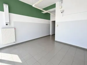 Pronájem ordinace, Hodonín, Seifertova, 77 m2