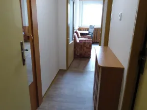 Pronájem bytu 1+kk, Brno, Heršpická, 23 m2