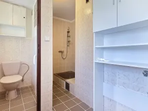 Pronájem rodinného domu, Pyšely, Na Návsi, 110 m2