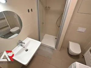 Pronájem bytu 1+kk, Brno, Turgeněvova, 40 m2