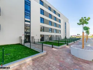 Prodej bytu 1+kk, Plzeň, Železná, 37 m2