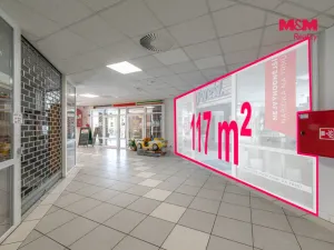 Pronájem obchodního prostoru, Tachov, Zámecká, 117 m2