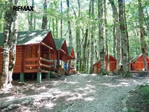 Prodej ubytování, Frýdek-Místek, 20000 m2