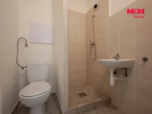 Pronájem bytu 1+1, Prostějov, Šárka, 29 m2