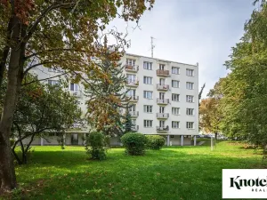 Prodej bytu 2+1, Brno, Hlinky, 56 m2