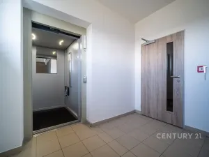 Prodej bytu 2+kk, České Budějovice - České Budějovice 2, Volejbalistů, 54 m2