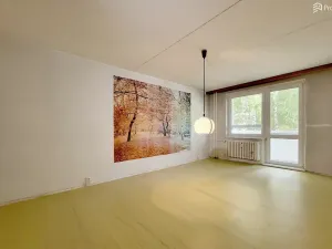 Prodej bytu 1+1, Brno, Ečerova, 40 m2