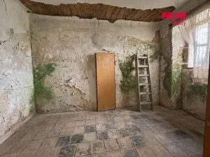 Prodej rodinného domu, Kostelní Hlavno, 300 m2