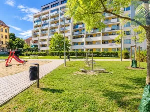 Prodej bytu 3+kk, Praha - Žižkov, Českobratrská, 81 m2