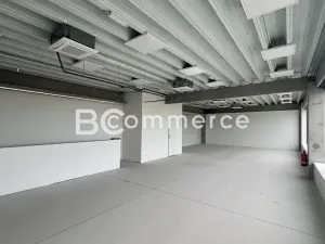 Pronájem skladu, Brno, 470 m2