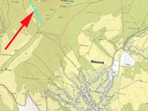 Prodej lesa, Suchá Loz, 10956 m2