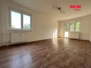 Pronájem bytu 2+1, Ostrava - Poruba, Opavská, 57 m2