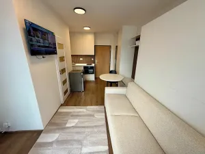 Prodej bytu 1+kk, Beroun, Nepilova, 22 m2