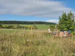 Prodej výrobních prostor, Velká Hleďsebe, K Malé Hleďsebi, 28305 m2